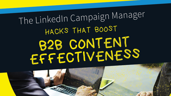 linkedin campaign manager linkedin campaign manager