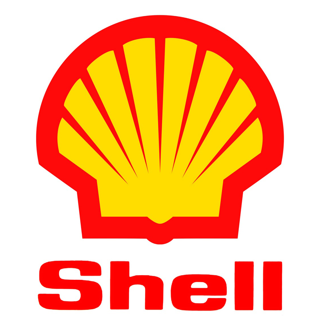11. Shell